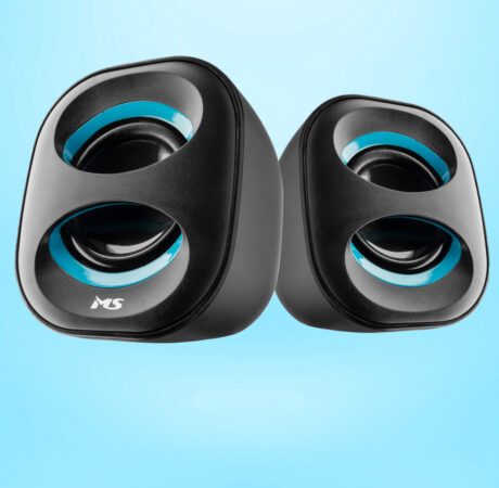 MS ECHO C100